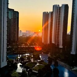 Normanton Park (D5), Apartment #562314121